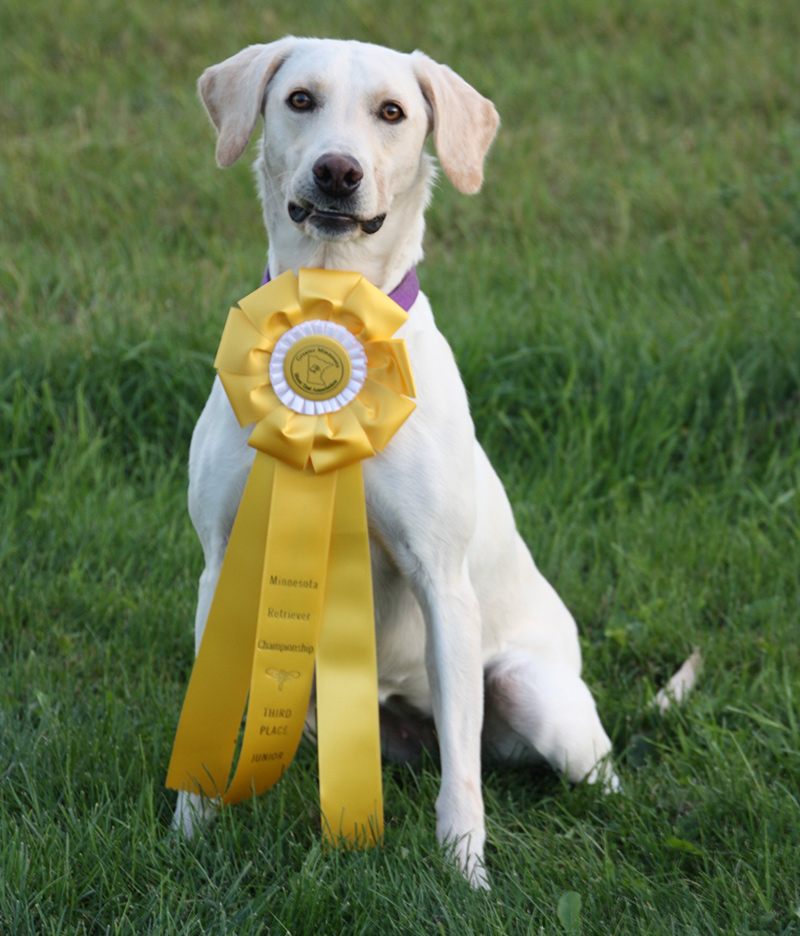 Avery Minnesota Masters Championship 3rd Place